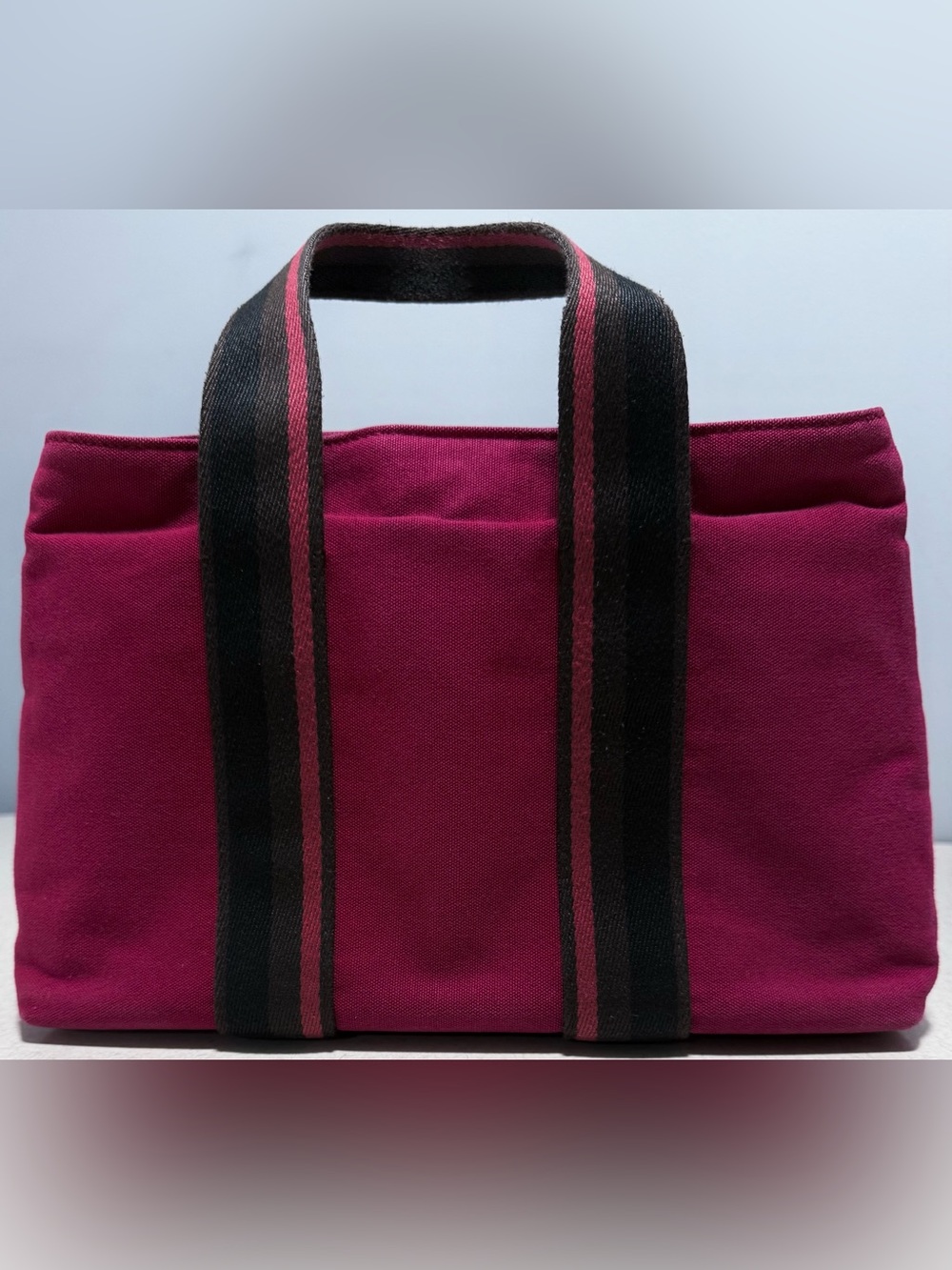Hermes Troca Horizontal PM Canvas Handbag - Picture 2 of 16